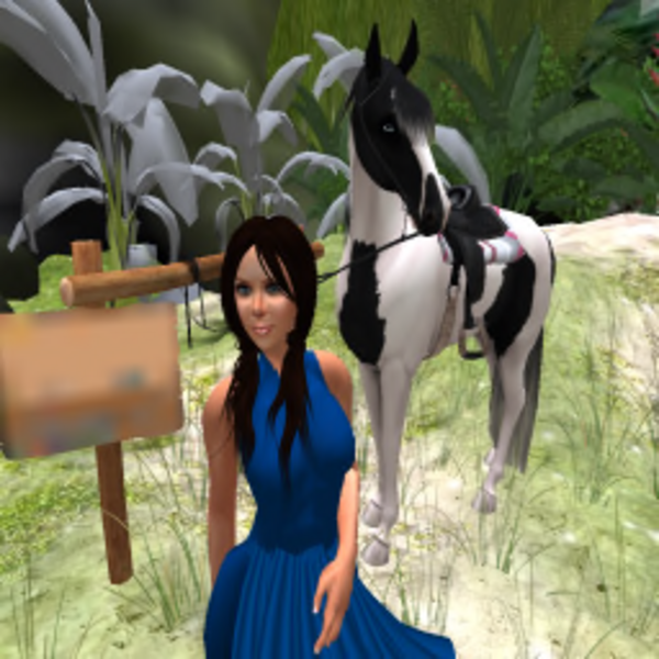123SuperFly Resident's Profile Image