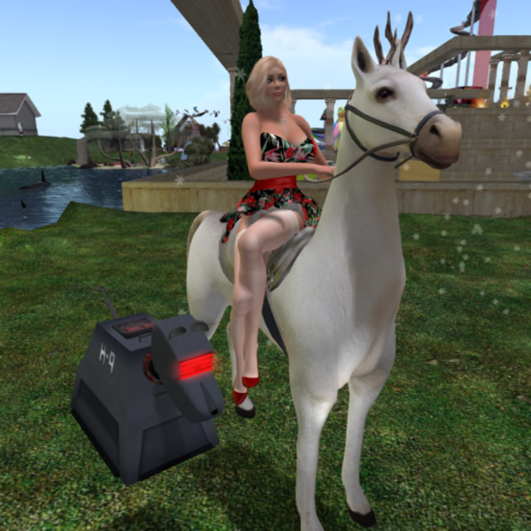 AdeleAnderson101 Resident Profile Image