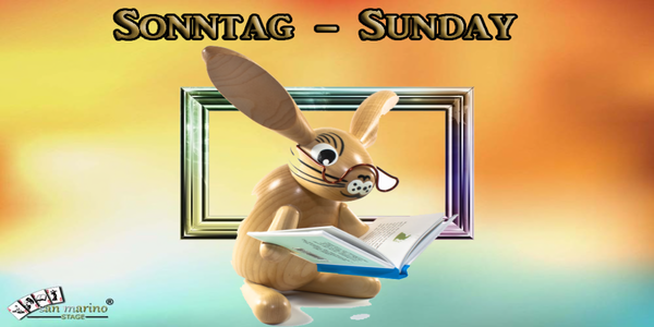 buchhalter Zeitman's Profile Image