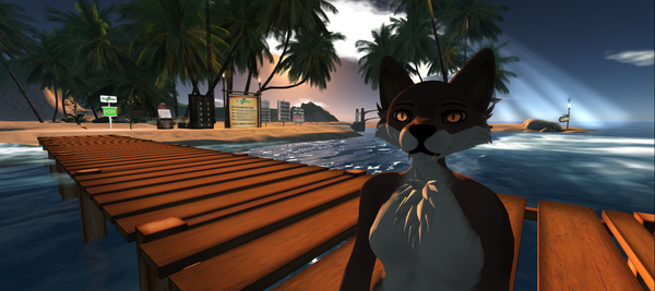 Cooladelic Resident's Profile Image