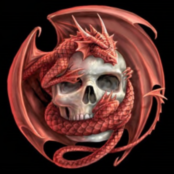 Darastrix Skytower's Profile Image