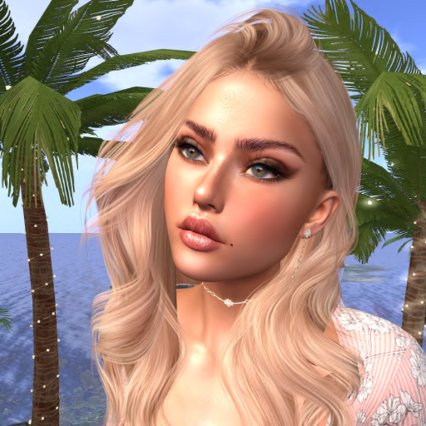 Dreama Dyrssen's Profile Image