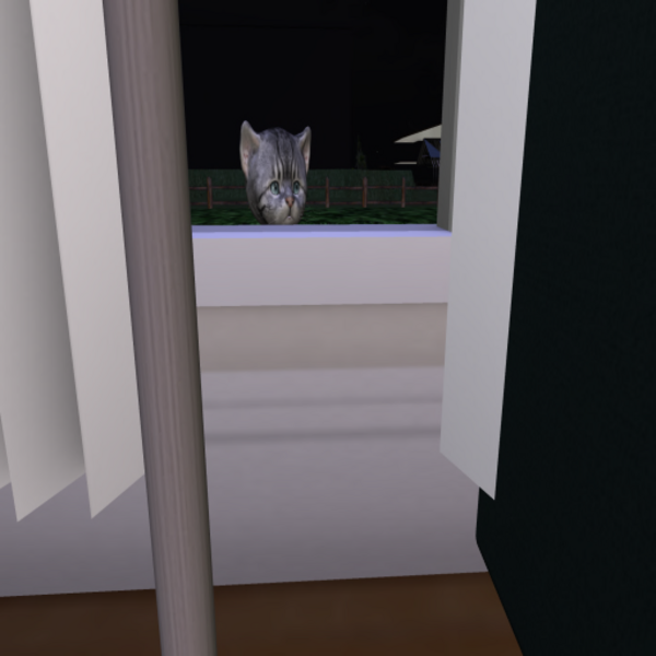 Drillzania Resident's Profile Image