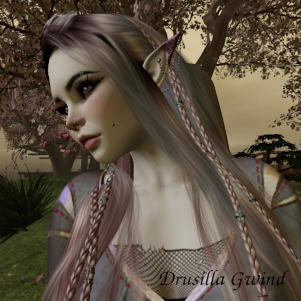 DrusillaGwind Resident's Profile Image