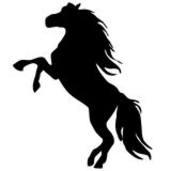 Equestrian85 Resident's Profile Image