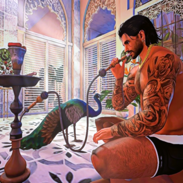 hasanabramovic Resident's Profile Image