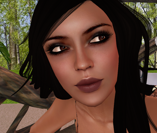 Kittee Pawpad Profile Image