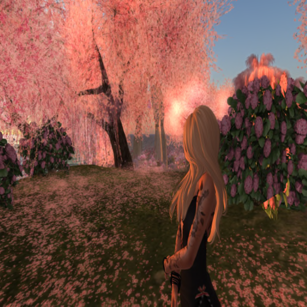 Lucy Nightfall's Profile Image
