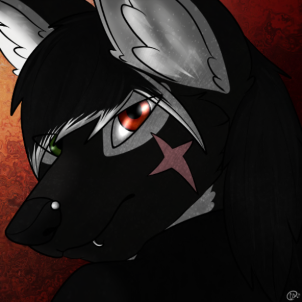 madmax18 Paine Profile Image