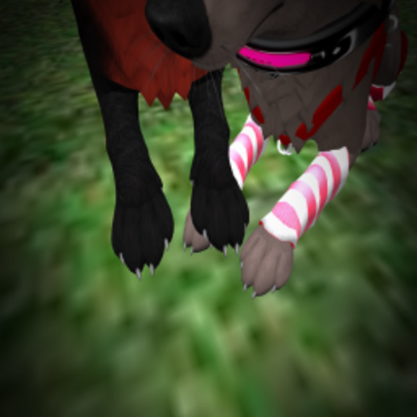 Nagiplays Resident's Profile Image