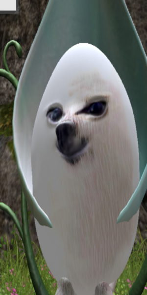 pattychiltress Resident's Profile Image