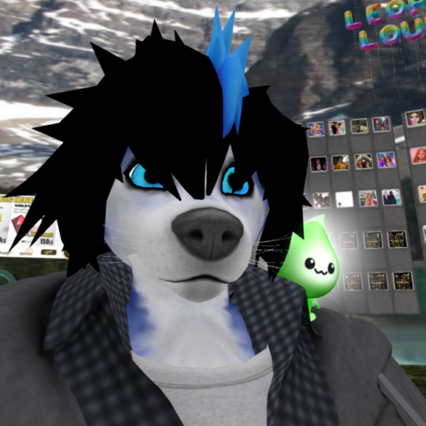 PlayfulHusky Resident's Profile Image