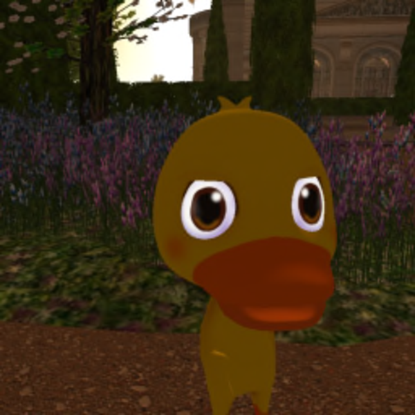 Rob3stone Resident's Profile Image