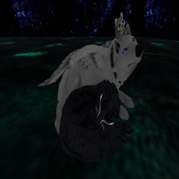 roguenc Resident's Profile Image