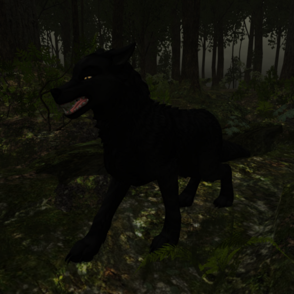 RovaCurvetail Resident Profile Image