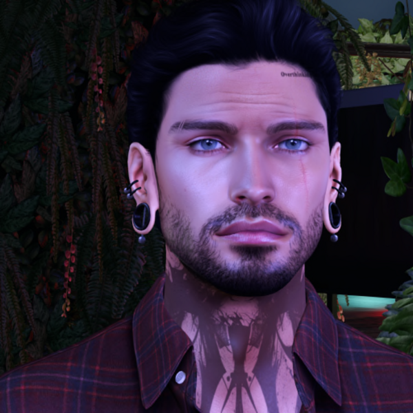 Shane Victis's Profile Image