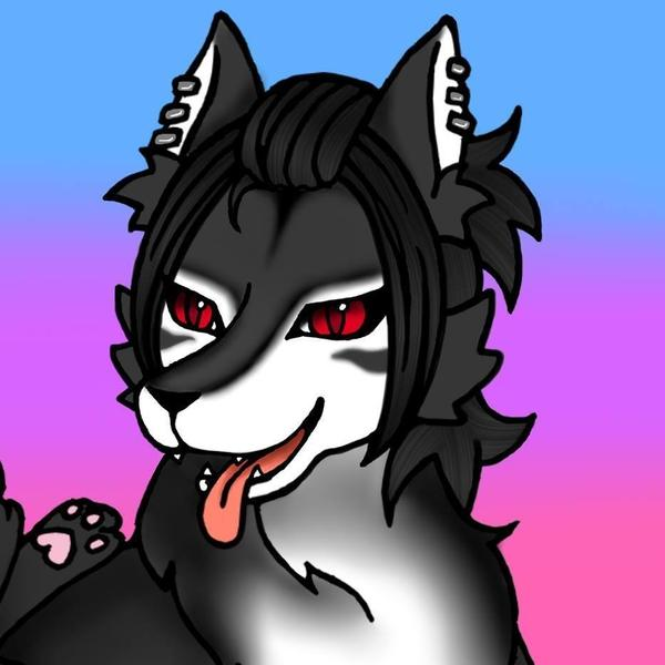 Shilaiyin Resident's Profile Image