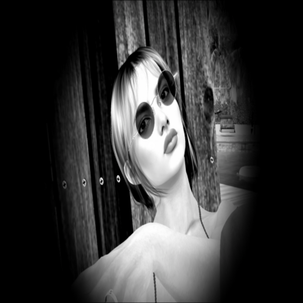 Steffy Voxel's Profile Image
