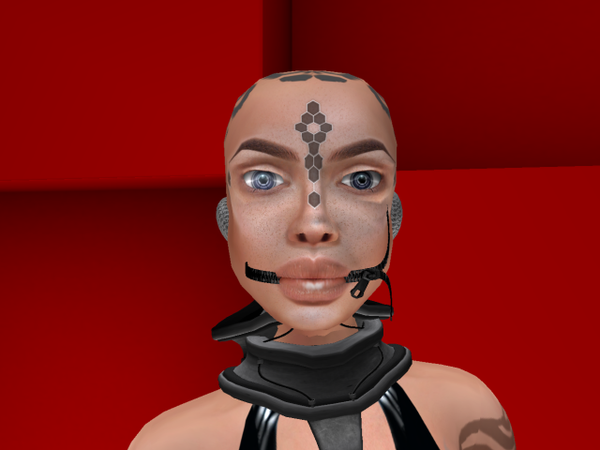 sue Verne's Profile Image