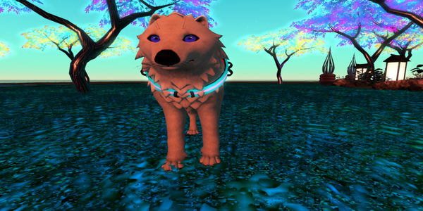 UmbreonFan76 Resident's Profile Image