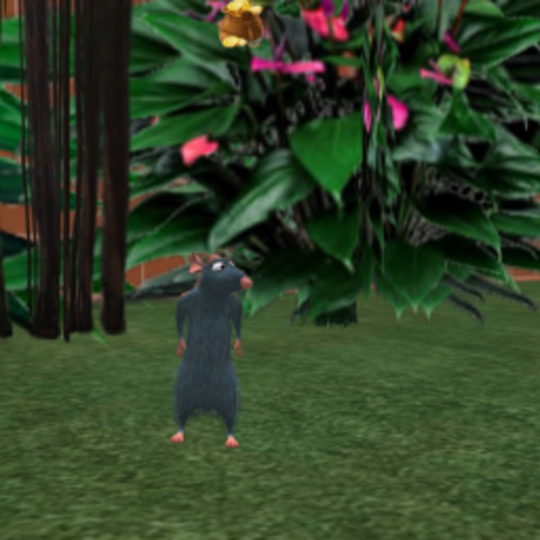 WandererMaya Resident's Profile Image
