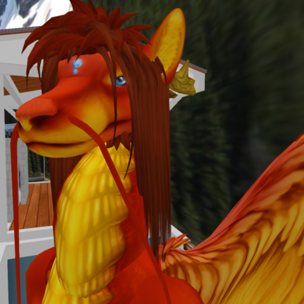 xRaivex Resident's Profile Image