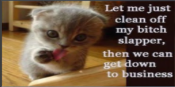 zahara Foxdale Profile Image